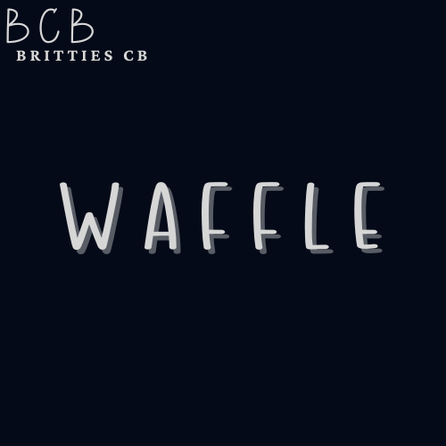 WAFFLE #2